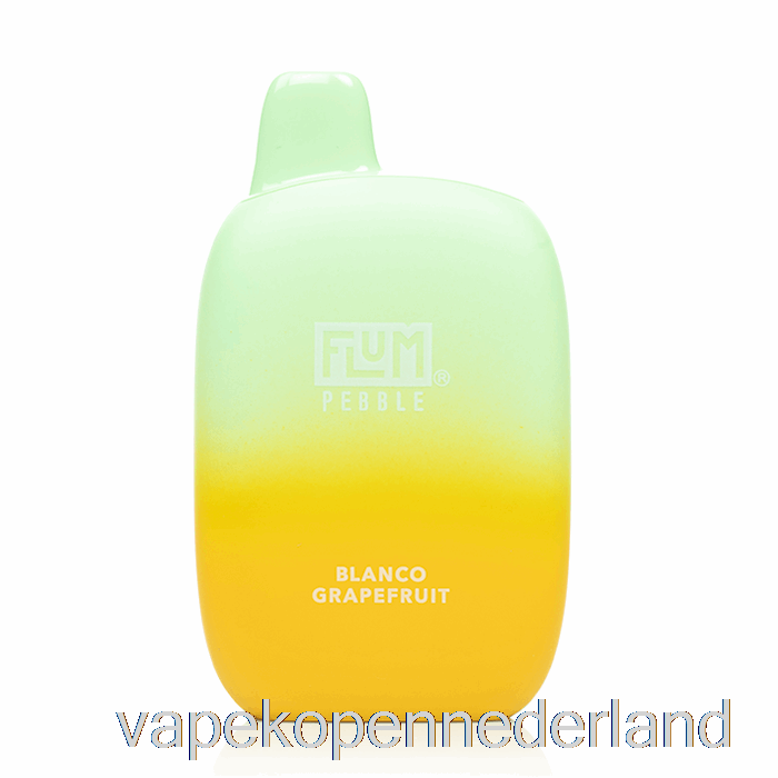 Vape Nederland Flum Kiezel 6000 Wegwerp Blanco Grapefruit